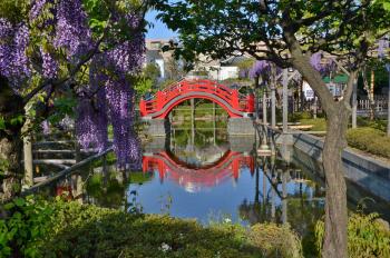 亀戸天神社