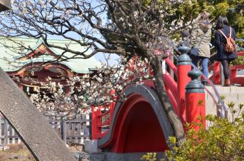 亀戸天神社