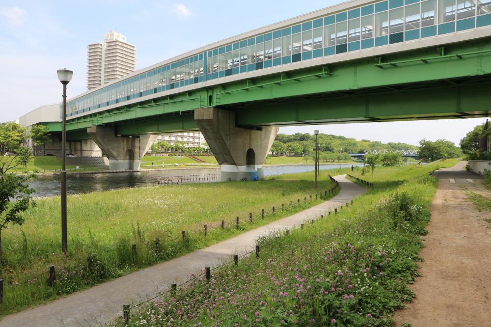 旧中川河川敷(きゅうなかがわかせんじき)