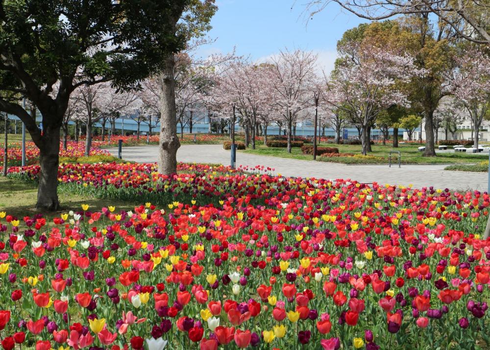 シンボルプロムナード公園