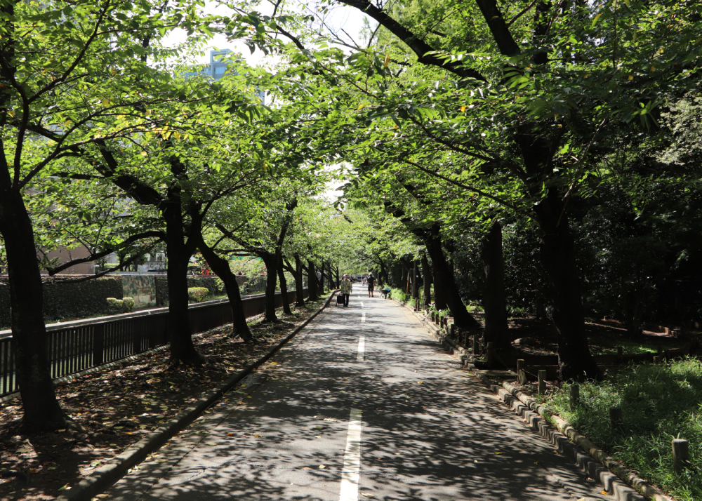 仙台堀川公園