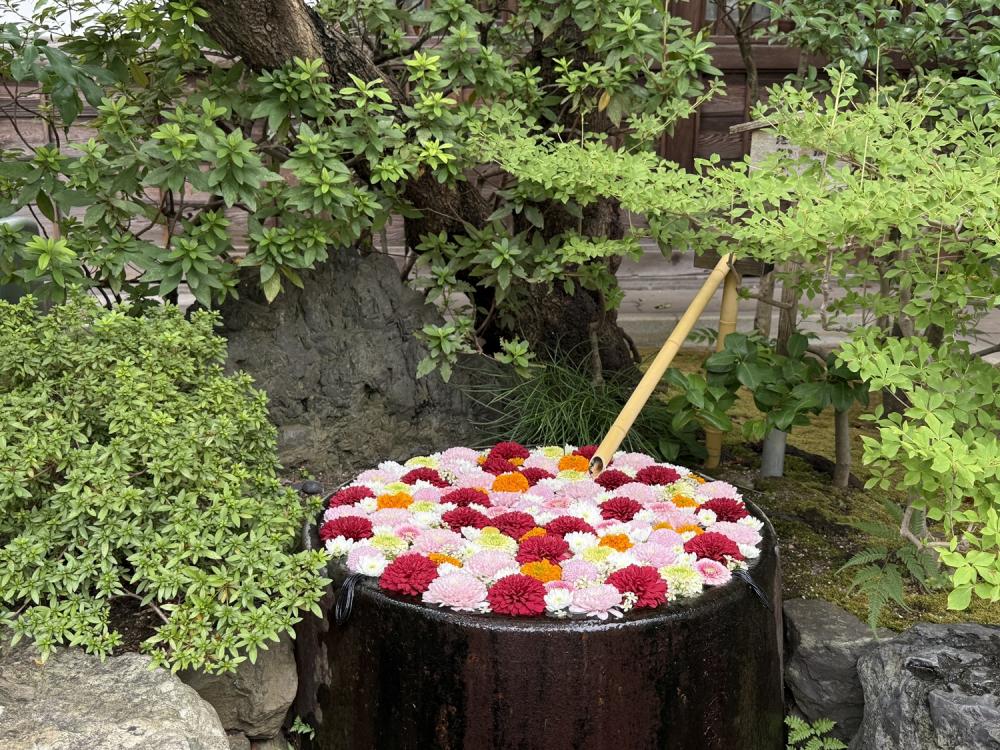心行寺 深川花手水