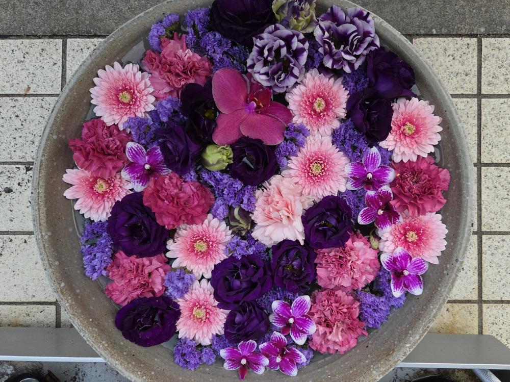 ニューパール美容室 深川花手水