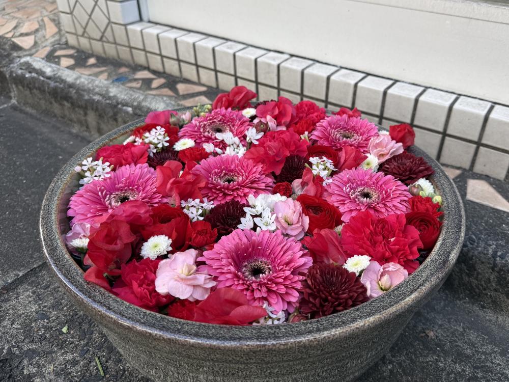 DENTALAND たむら歯科 深川花手水