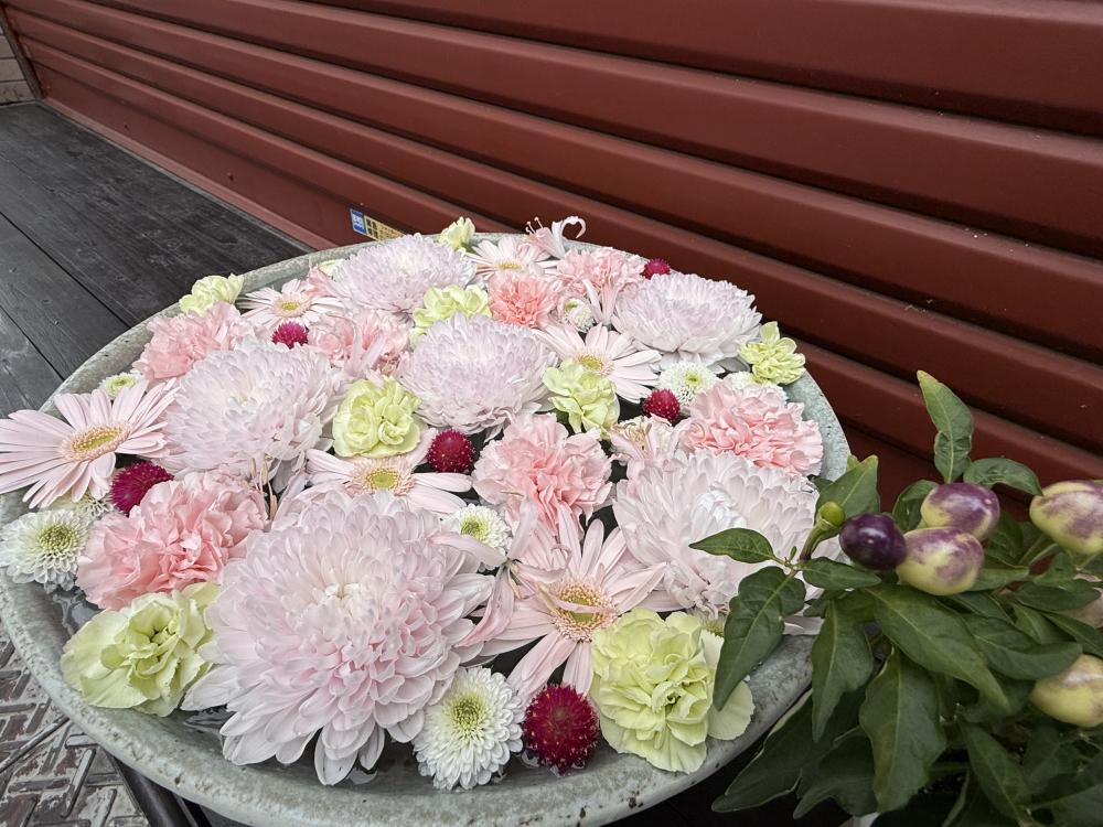 酒菜 桃の木 深川花手水