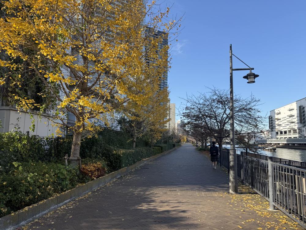  いざ、聖地へ！ロケ地巡礼のススメ