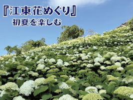 タイトル
