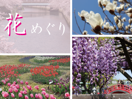 江東 花めぐり