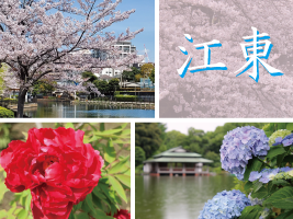 江東 花めぐり