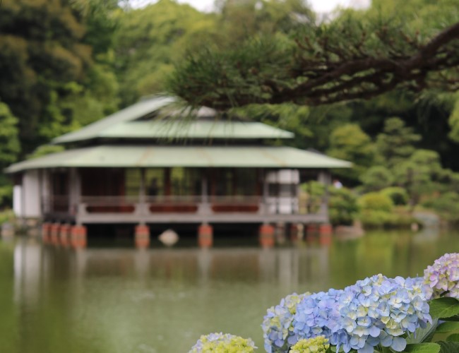 深川北エリア